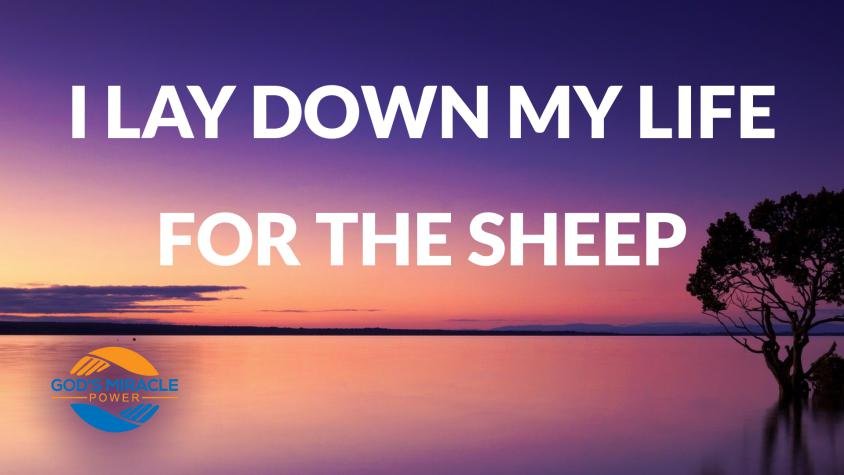 I lay down my life for the sheep